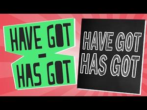 Have got/ Has got